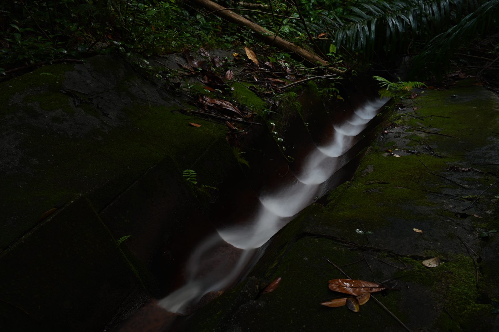 下雨天出去拍数码了