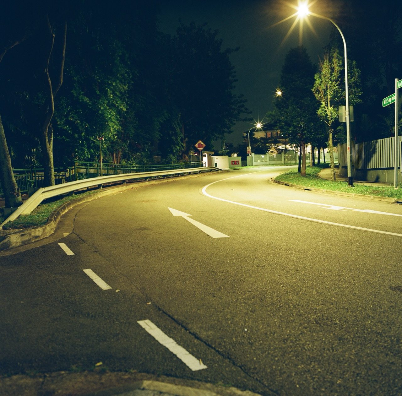 Late Nights in Sophia Hills