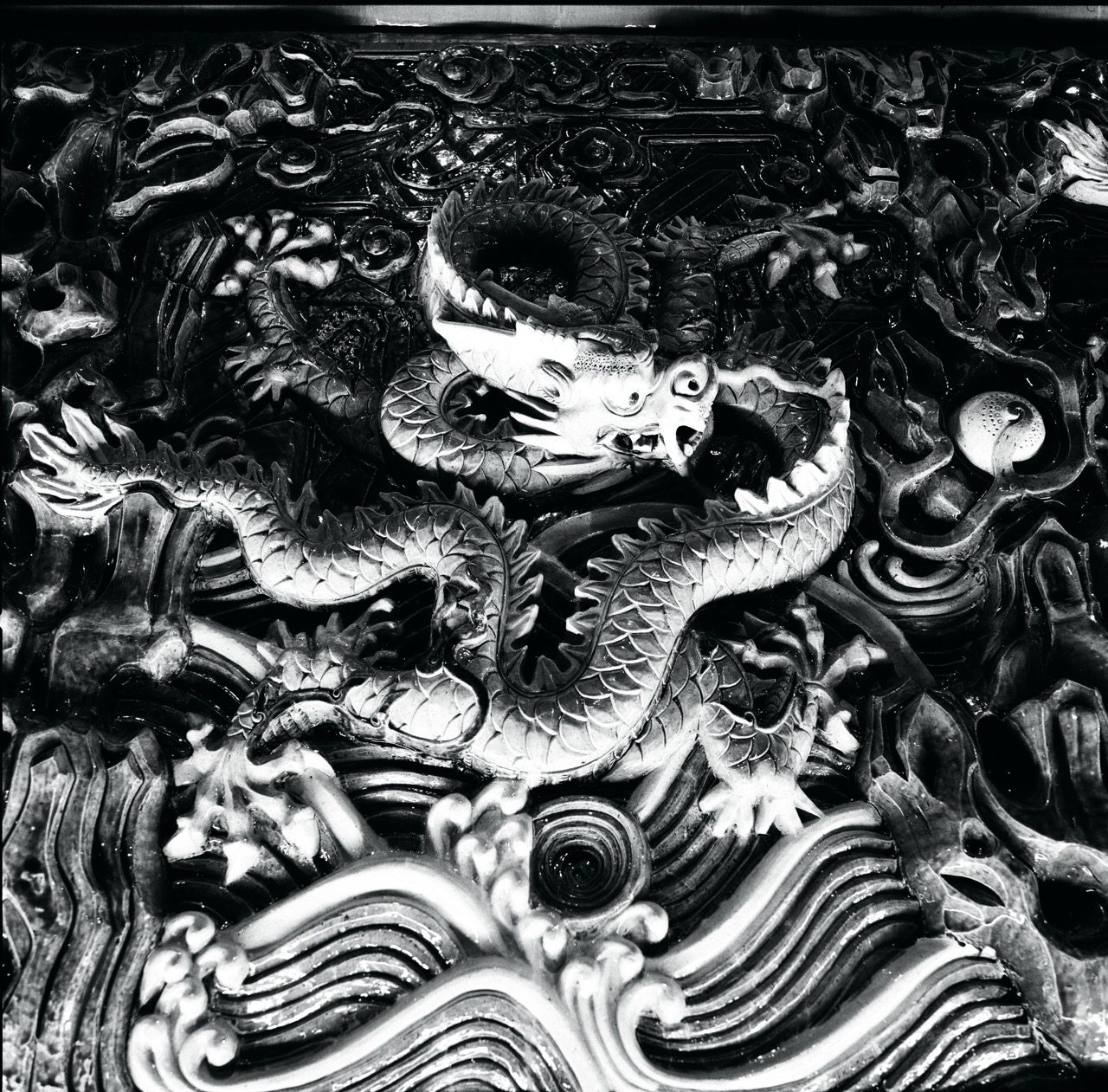 Loong: B&W vs. Color Photography