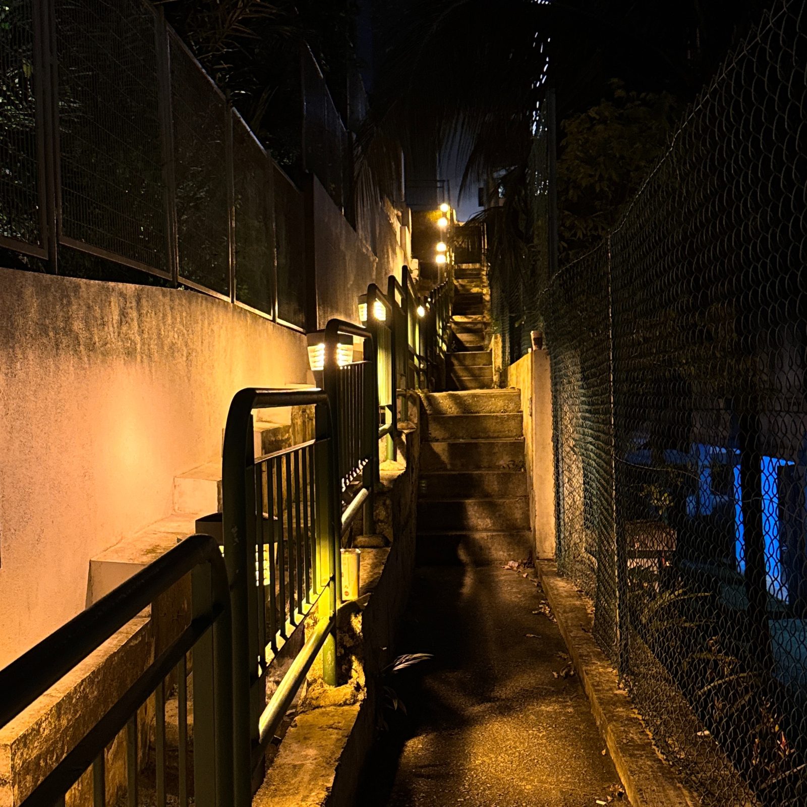 viewfinder里的世界