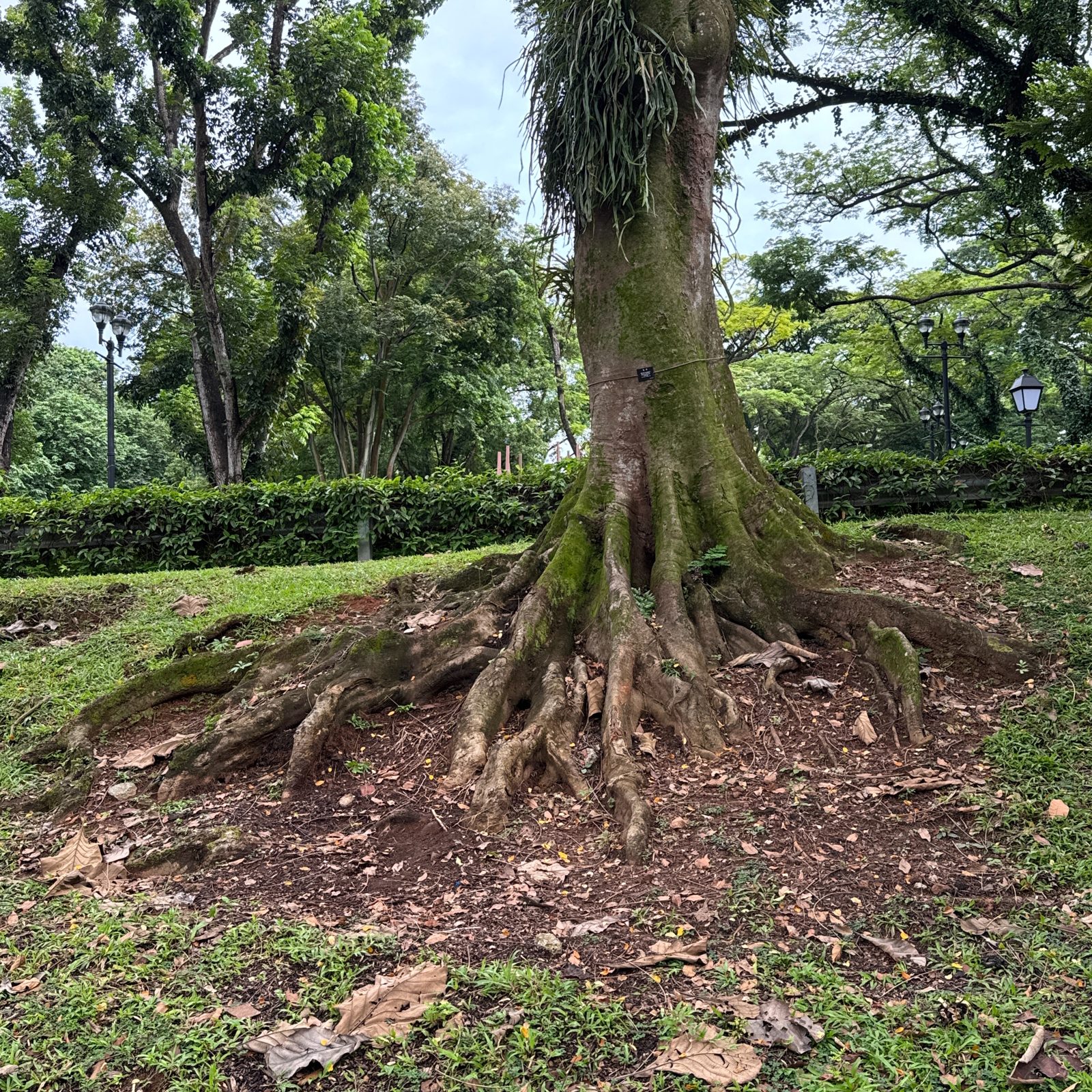 viewfinder里的世界