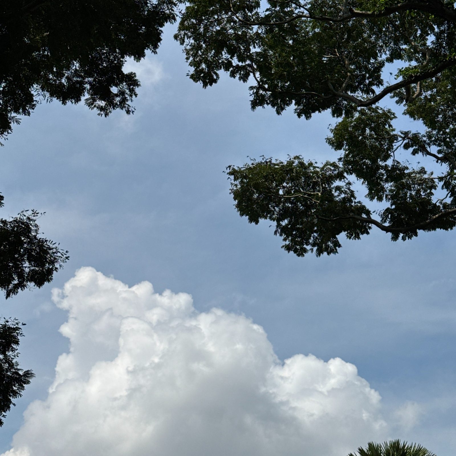 viewfinder里的世界