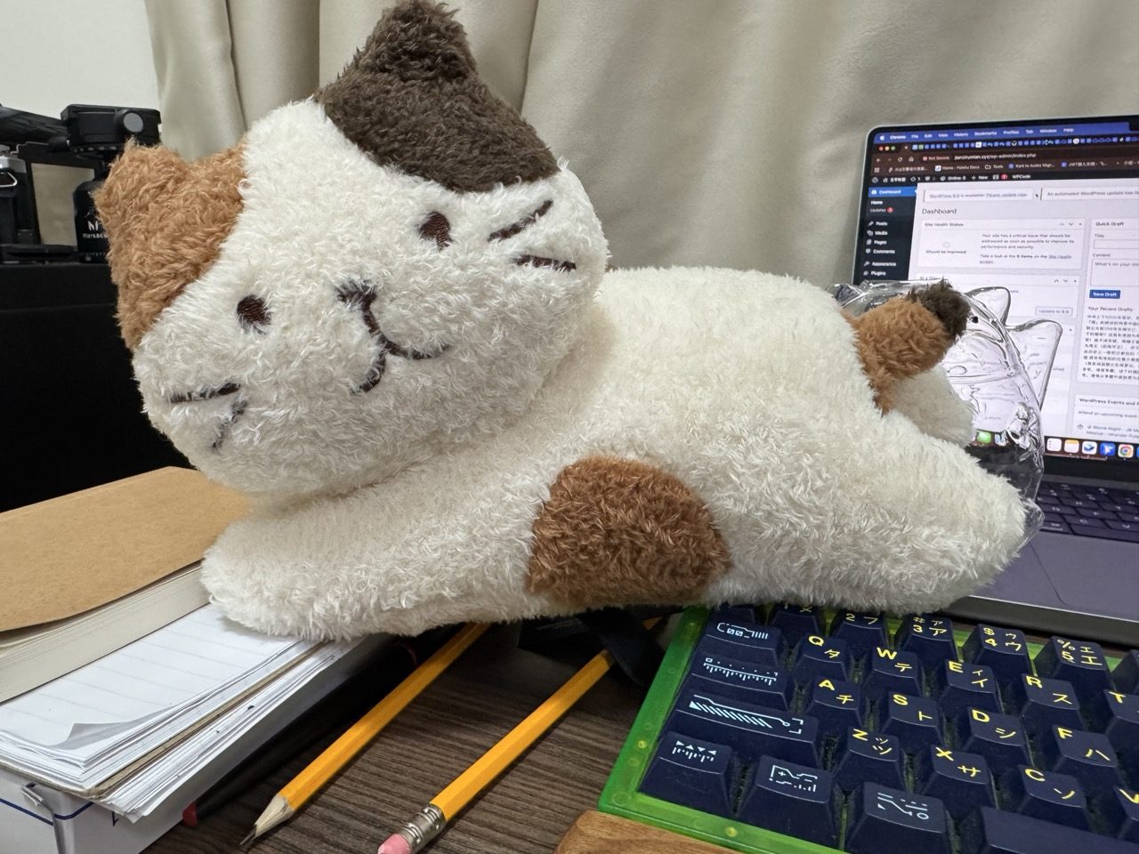 A Small Pillow