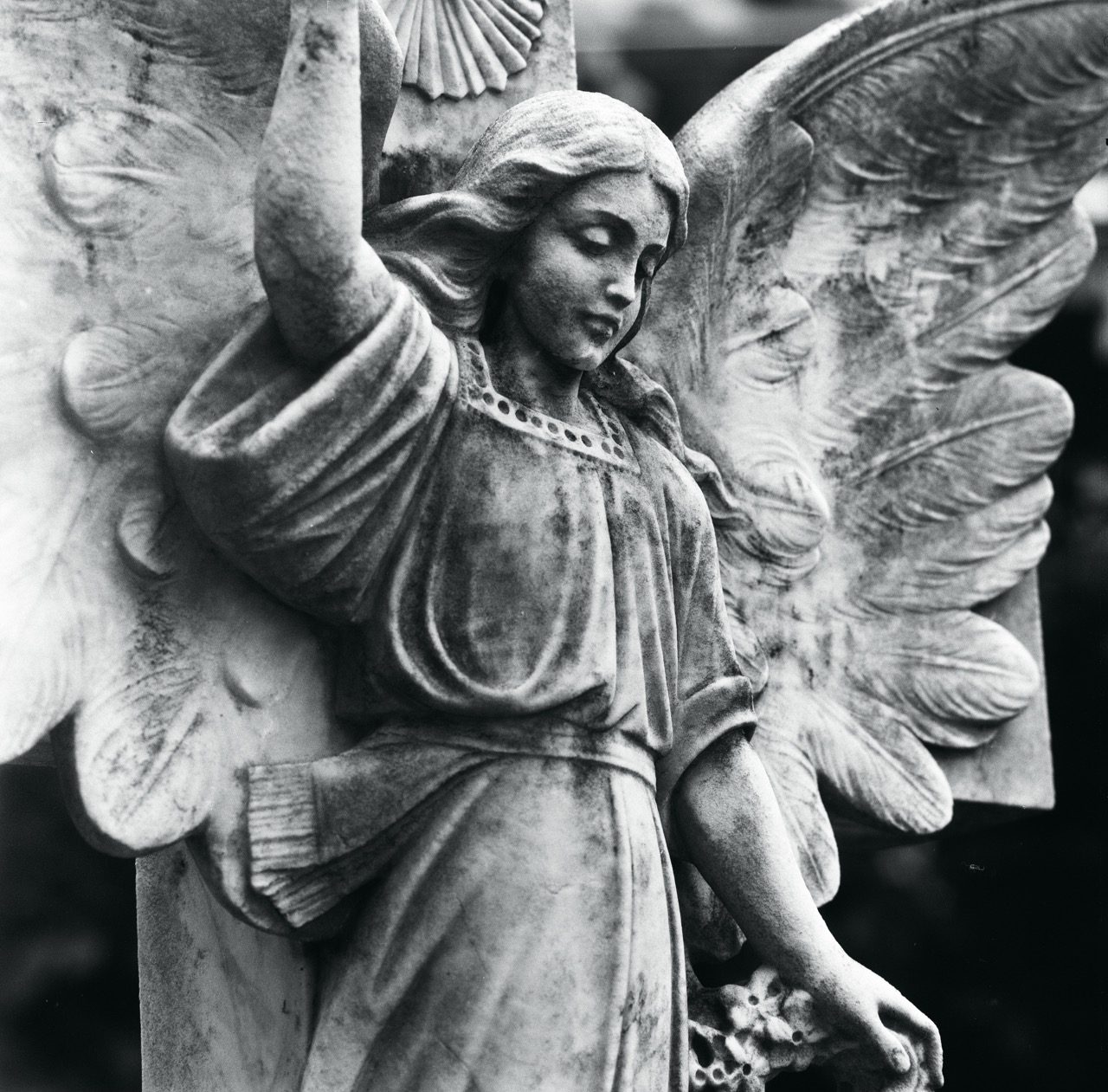 Angel: B&W Photography