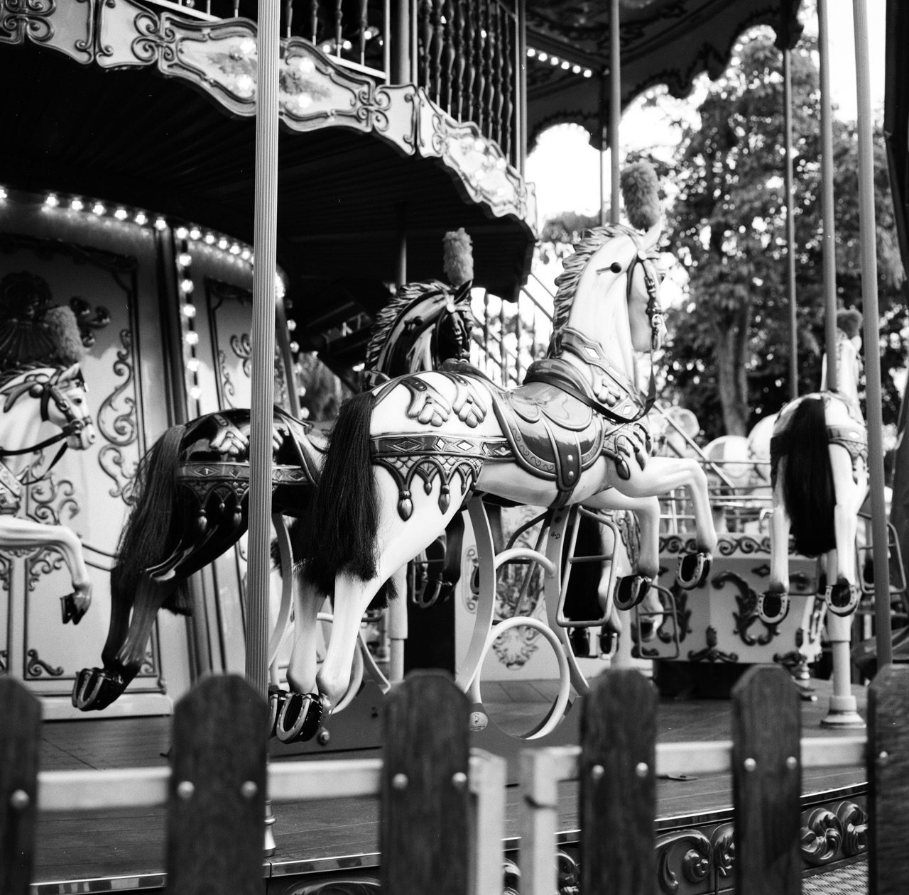 Carousel: B&W Photography